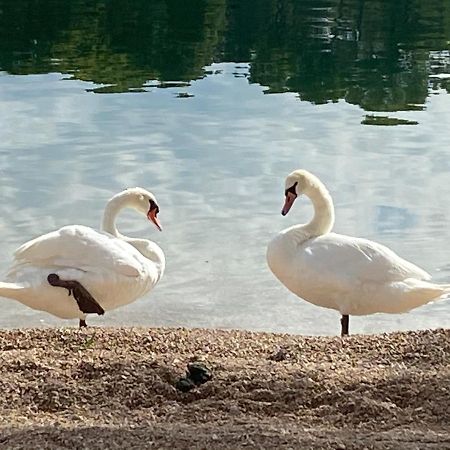 Apartman Put Svete Kate Raslina Luaran gambar